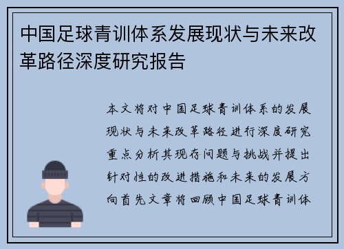 中国足球青训体系发展现状与未来改革路径深度研究报告